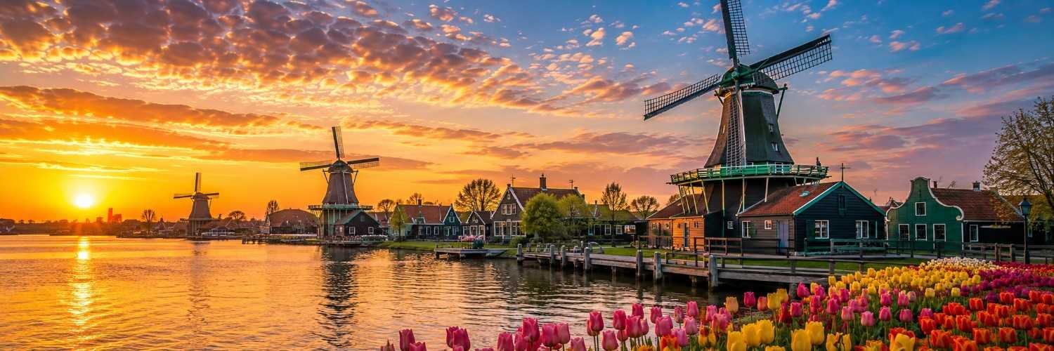 Netherlands supplier market
