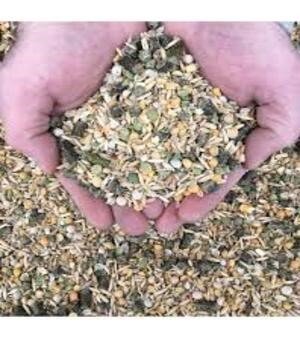 PROBIOTIC FEED SUPPLEMENT FOR GOAT AND SHEEP