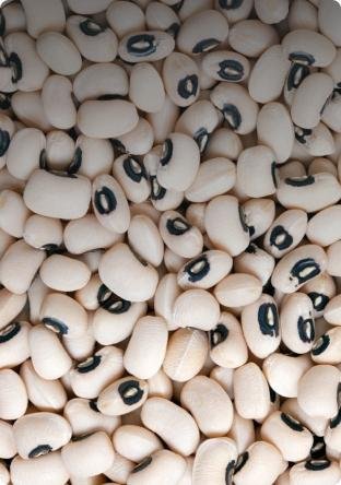 BUY BLACK EYE BEANS WHOLESALE: BEAN EXPORT FROM UZBEKISTAN