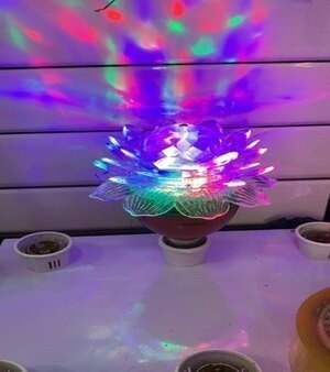 LED Disco Bulb