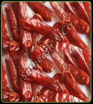 Endo-5 Dry Red Chilli
