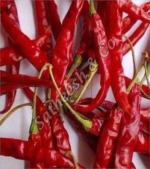 Teja Dry Red Chilli