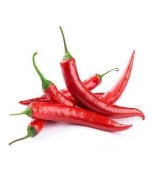 Red Chilli