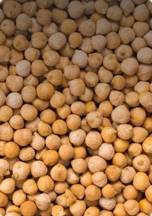 BUY CHICKPEAS WHOLESALE: EXCEPTIONAL QUALITY FROM SULTAN-AGRO