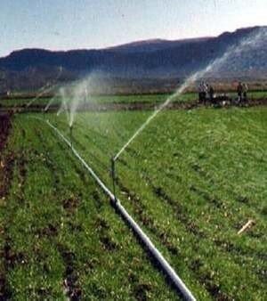 Sprinkler System