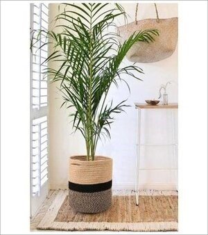 Jute And Cotton Basket