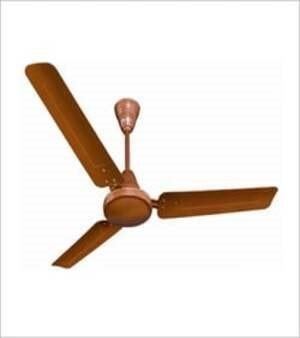 Ceiling Fans