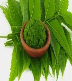 Herbal Neem Powder
