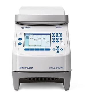 PCR Analyzer