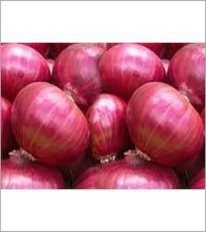Fresh Red Onion, Cultivation Type: Common; Glutinous: Non Glutinous