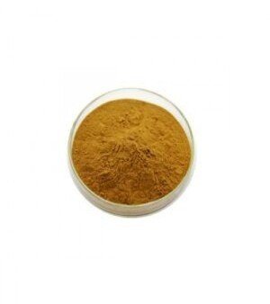 Ginger Extract Powder