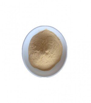 Amyloglucosidase Enzyme