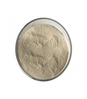 Acid Protease