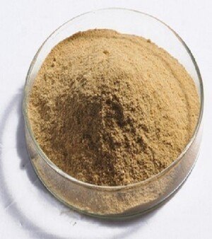 Dry Yeast