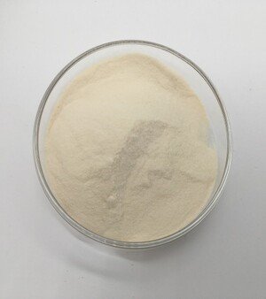 Spermidine Powder