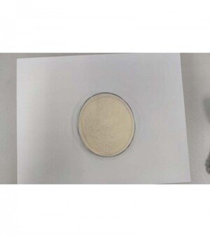 Collagen Peptide Type II