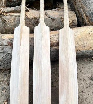 Plain Cricket Bat
