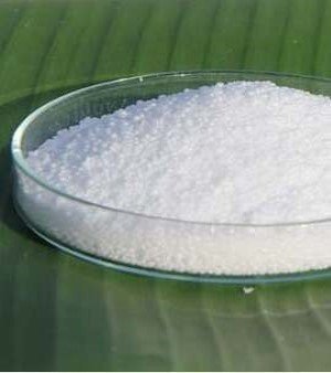 Palmitic Acid