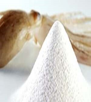 Meat Extract Powder