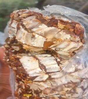 Tamarind