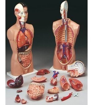 NURSING EQUIPMENT FOR GNM