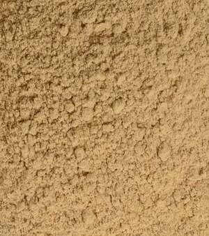 Drumstick powder