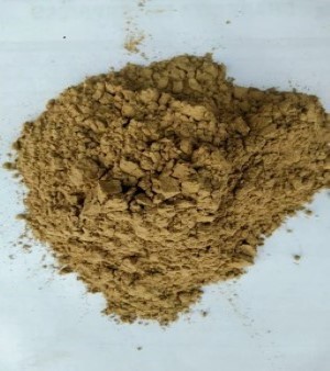 Ginger Extract Powder