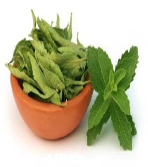 Dried Tulsi Leaves