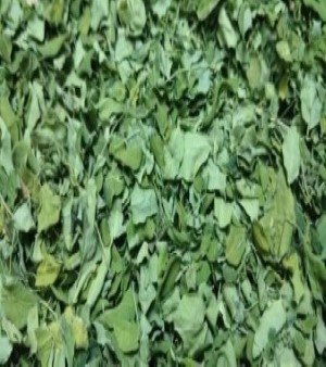 Dried Moringa Leaves