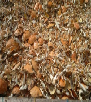 Dried Crab Shells