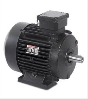 Domestic Electric Motor