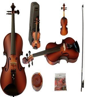 Acoustic Violin