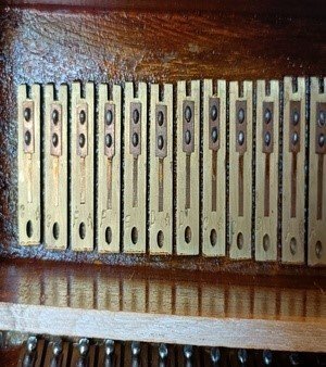 Harmonium Reed