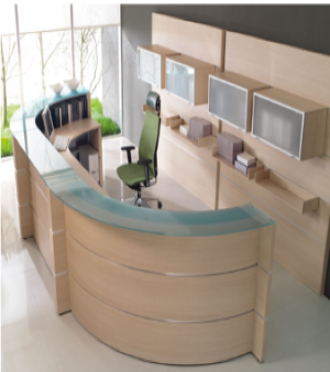 Professional Office Furniture