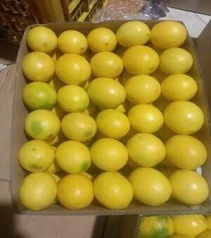 Lemon California