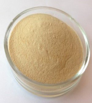 Chitosan