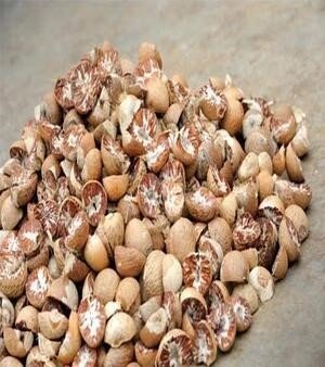 Betel Nut
