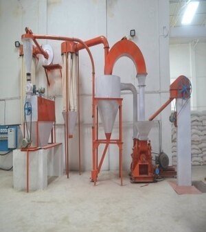 Besan Plant