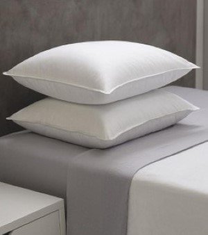 Bed Pillows