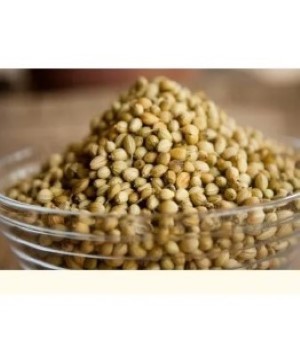 Coriander Seed