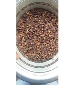 Clove