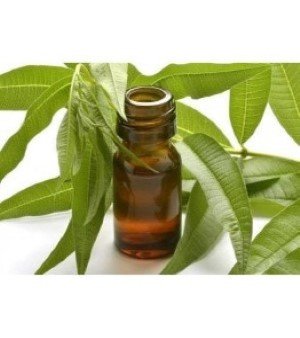 Citronella Oil