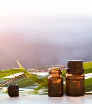 Eucalyptus Oil