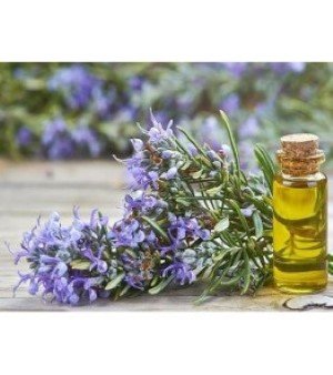 Rosemary Oil