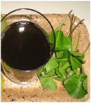 Brahmi Oil