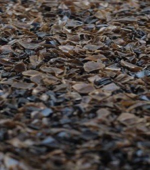 PET FLAKES