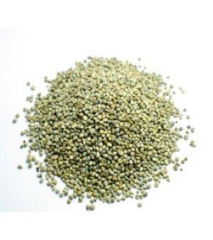 Green MilletGreen Millet