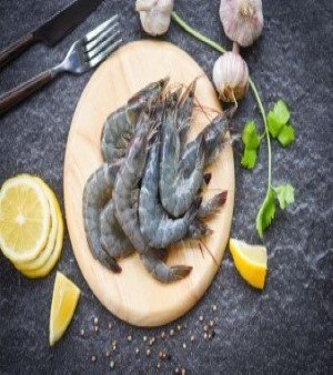 Shrimp