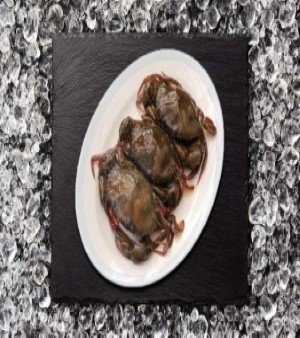 Frozen Crab