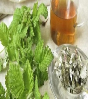 Herbal Remedies